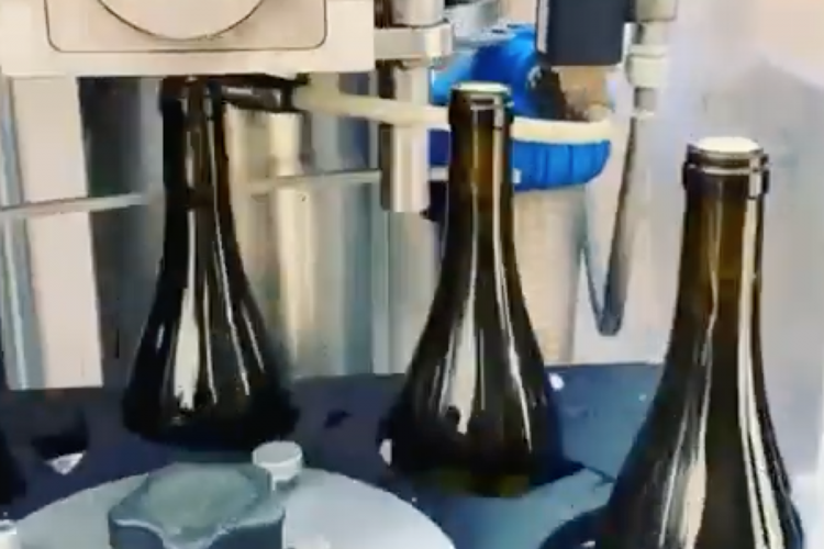 Bottling of our white Beaujolais 