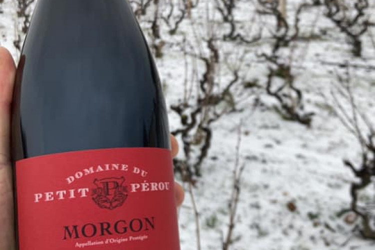 New year, new vintage, new packaging for our Morgon Côté du Py 2018