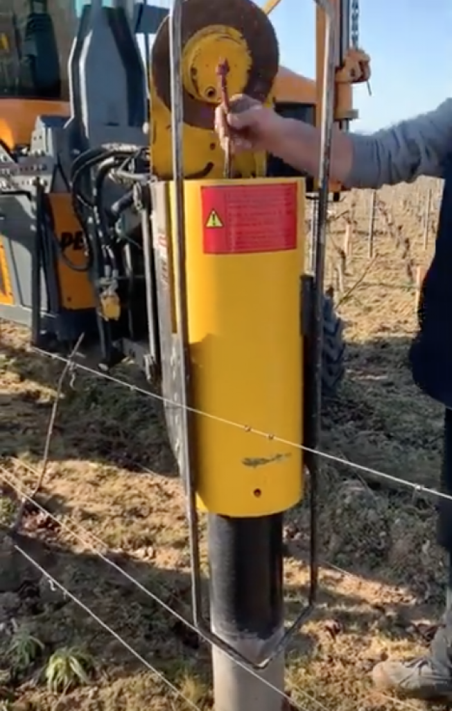 Rebrochage des vignes du Domaine 