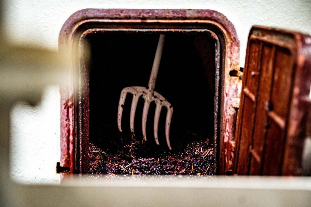 Domaine du Petit Pérou - THEVENET & FILS