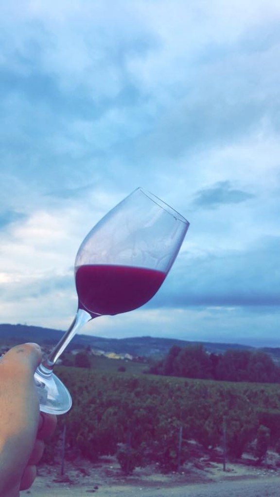 La première de l'année, un belle gourmandise !