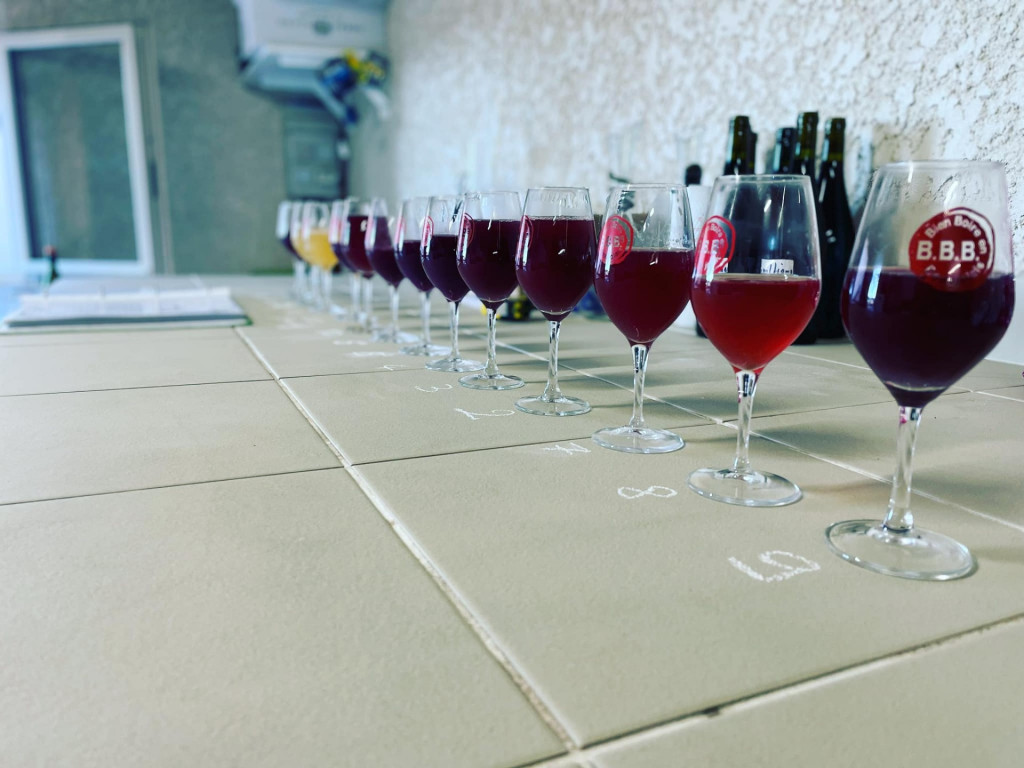 Daily tasting of our winecraft with the Domaine team 