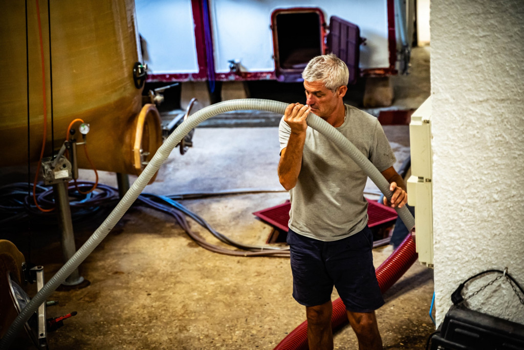 Domaine du Petit Pérou - THEVENET & FILS