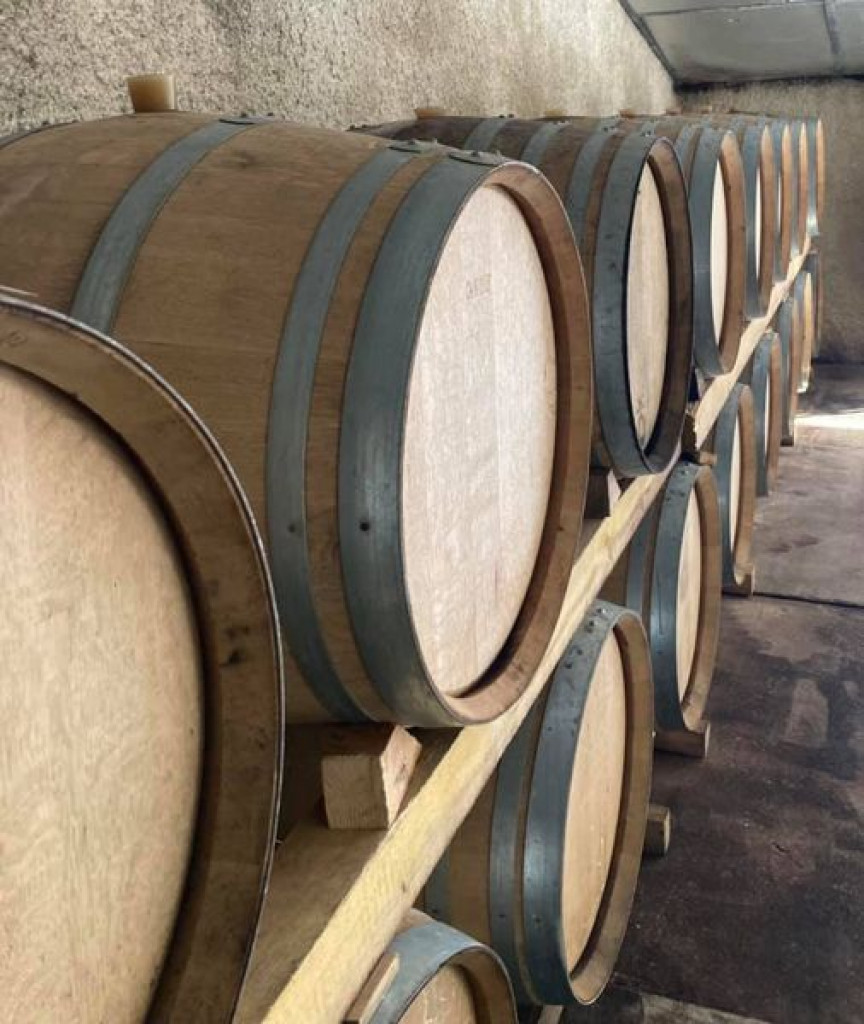 Vinification Beaujolais blanc 