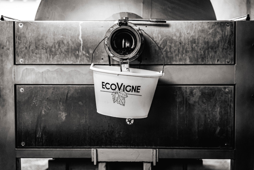 Domaine du Petit Pérou - THEVENET & FILS