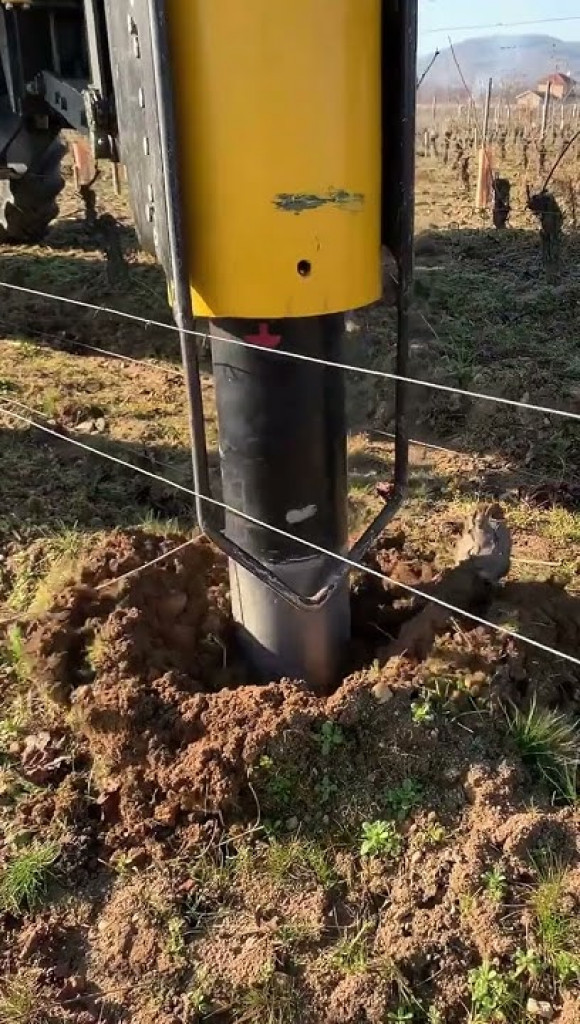 Rebrochage des vignes du Domaine 