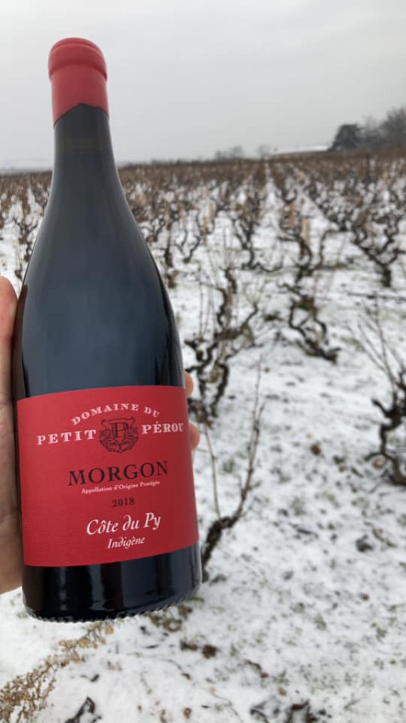 New year, new vintage, new packaging for our Morgon Côté du Py 2018