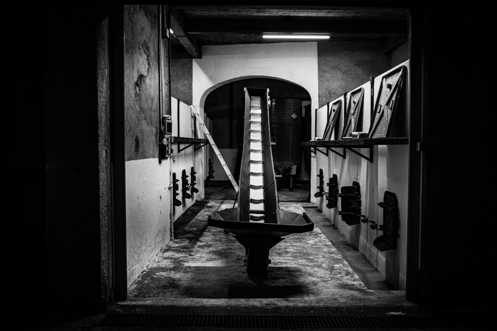 Domaine du Petit Pérou - THEVENET & FILS