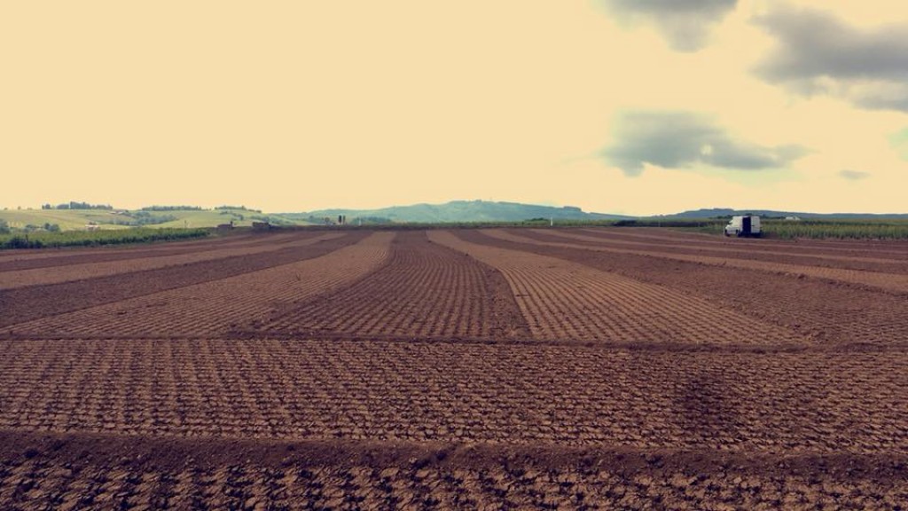  Soil ready to be planted.