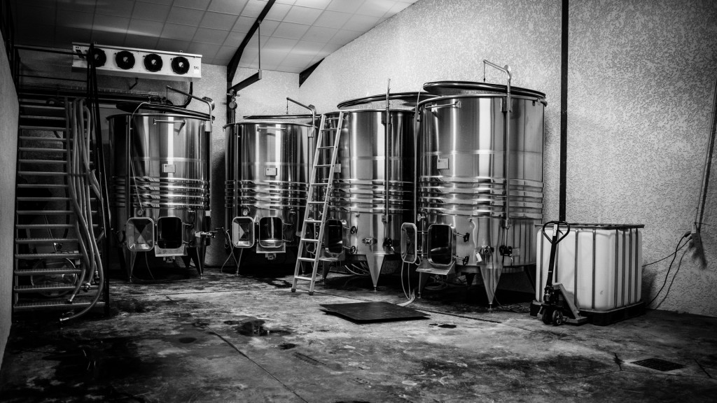 Domaine du Petit Pérou - THEVENET & FILS