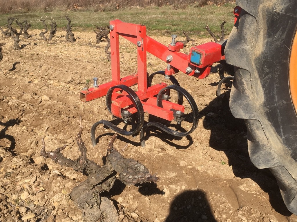 Labour des vignes du domaine