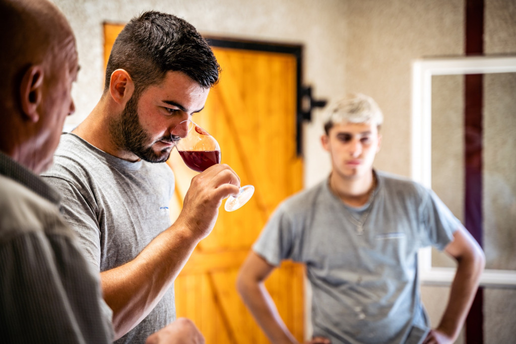 Domaine du Petit Pérou - THEVENET & FILS