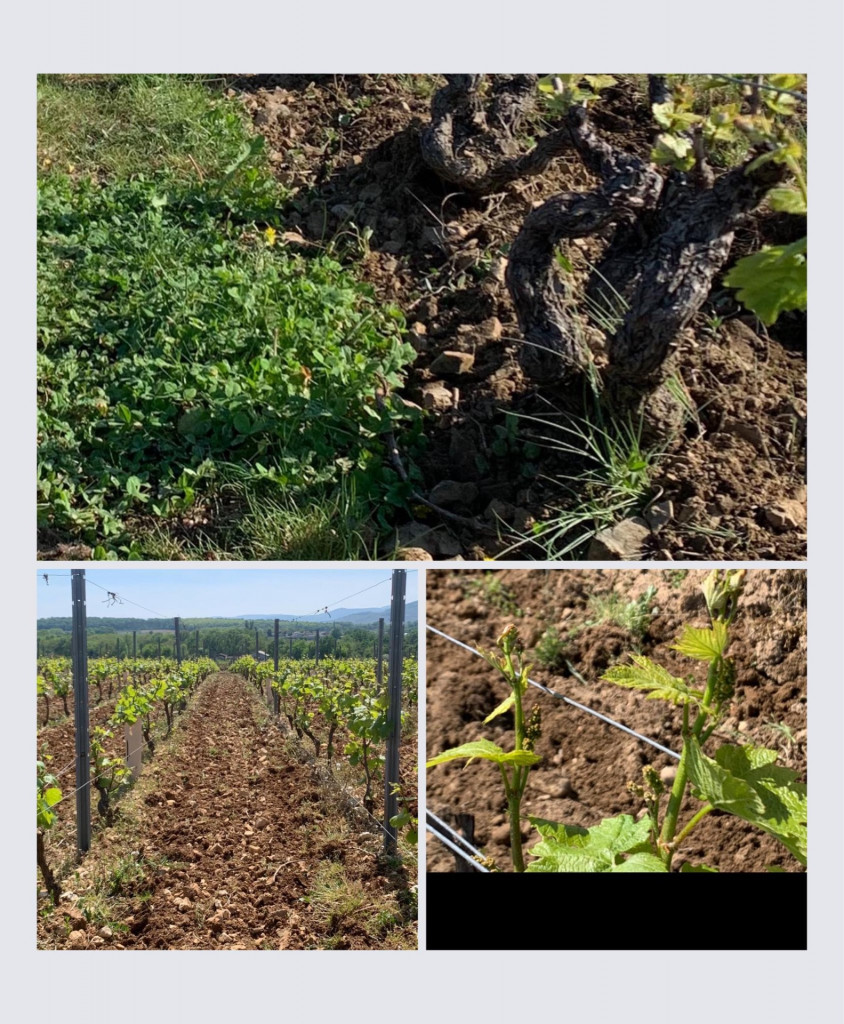 Ground maintenance season 