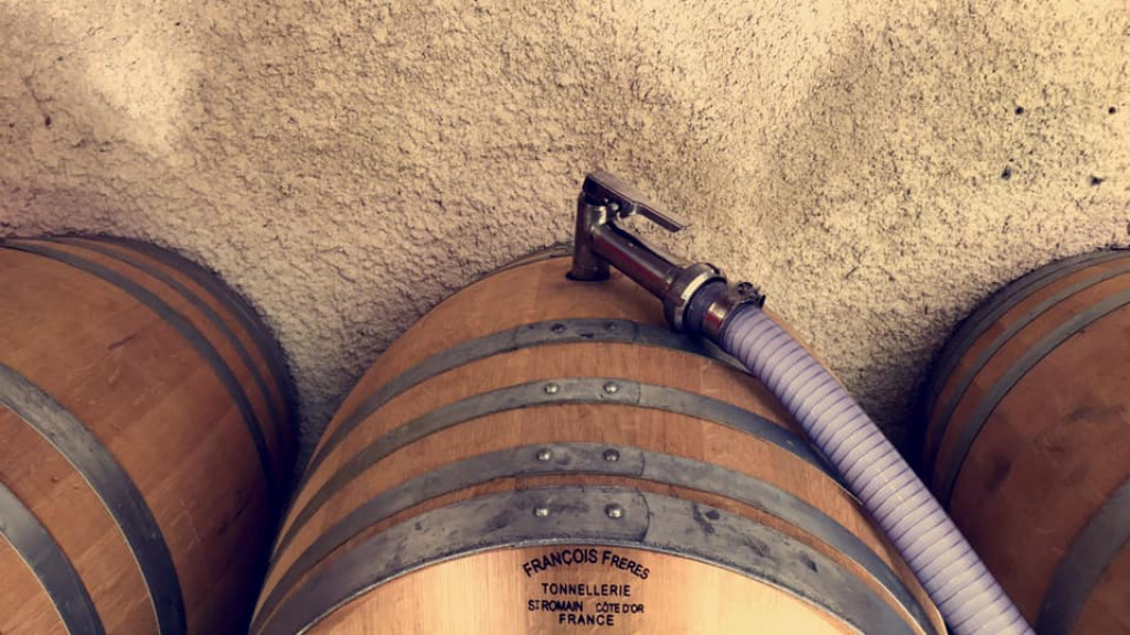 Jour 10 de vendange au Domaine, entonnage de notre Beaujolais blanc, peu de volume mais une vraie pe