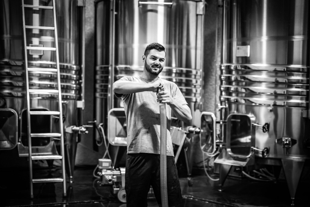 Domaine du Petit Pérou - THEVENET & FILS