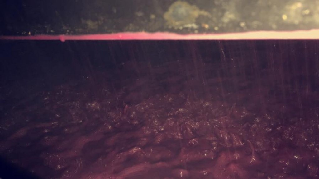  The first of the year, a beautiful greed !